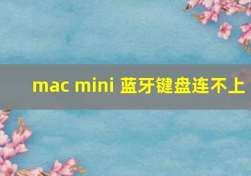 mac mini 蓝牙键盘连不上